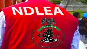 NDLEA Enhances Efforts to Combat Cross-Border Drug Smuggling with Advanced Training