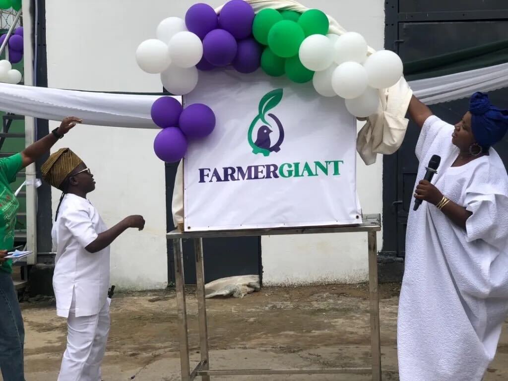 Farmergiant Marks Nigeria@65 with New Headquarters in Ibadan, Strengthens Agricultural Footprint