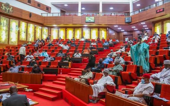 National Assembly Faces Tension as More Lawmakers Reject Gazetted Tax Laws - OLORISUPERGAL MEDIA 

