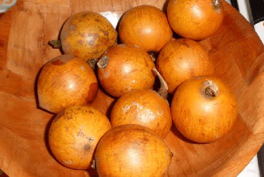 Nutritional Value of Agbalumo (Udara): 9 Important Things to Know Before Eating It