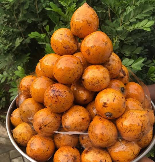Nutritional Value of Agbalumo (Udara): 9 Important Things to Know Before Eating It