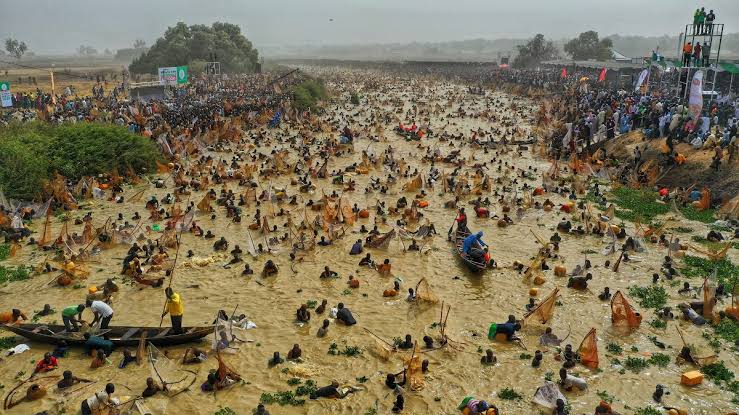 Argungu International Fishing Festival 2026: Dates, History, and What to Expect