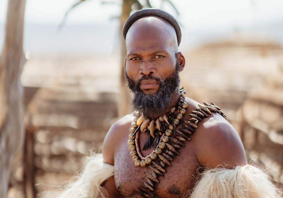 What to watch on Showmax in February from Shaka iLembe S2, Landman S2 to The Naked Gun - OLORISUPERGAL MEDIA 