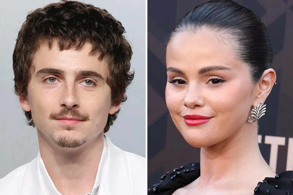 Illumination Casts Timothée Chalamet and Selena Gomez in New Animated Adventure ‘Not Alone’