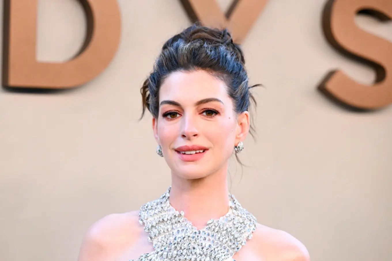 Anne Hathaway Explains Why Movies That Kill Dogs Should Be Rated R