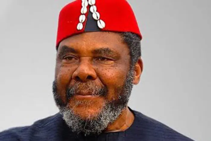 ‘Don’t let me bother the people around me’ Pete Edochie speaks on health struggles